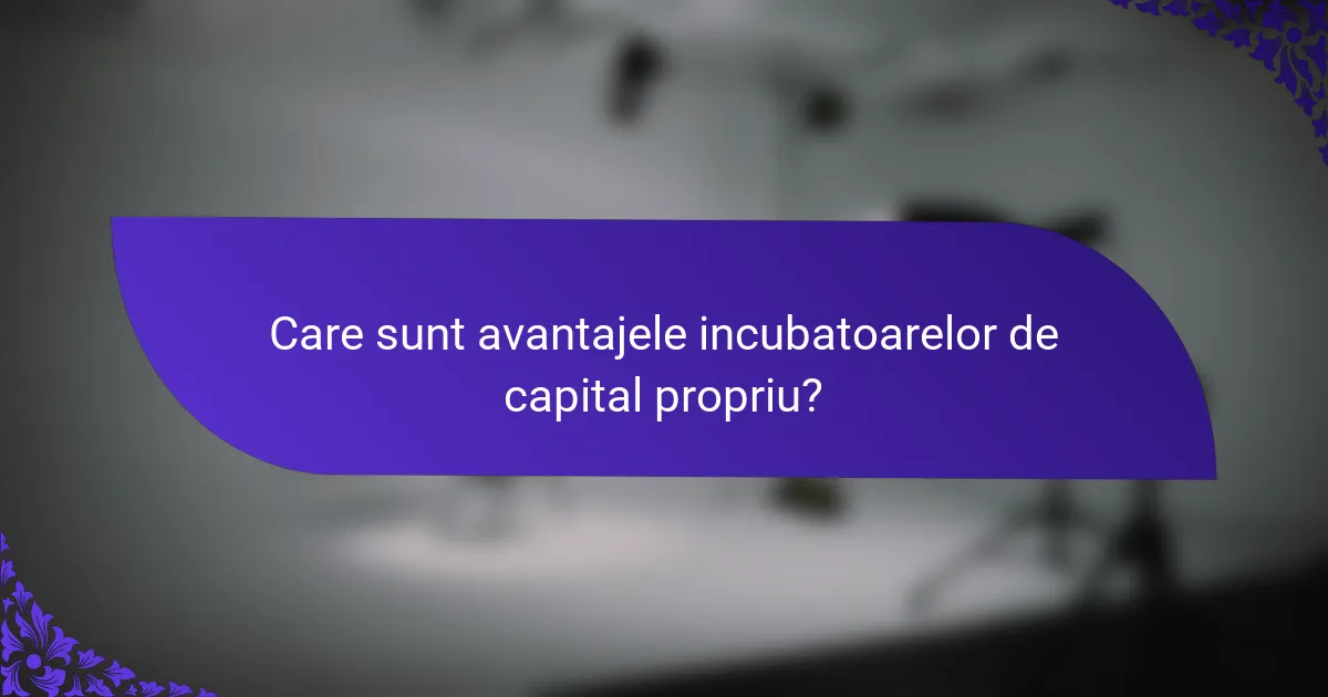 Care sunt avantajele incubatoarelor de capital propriu?