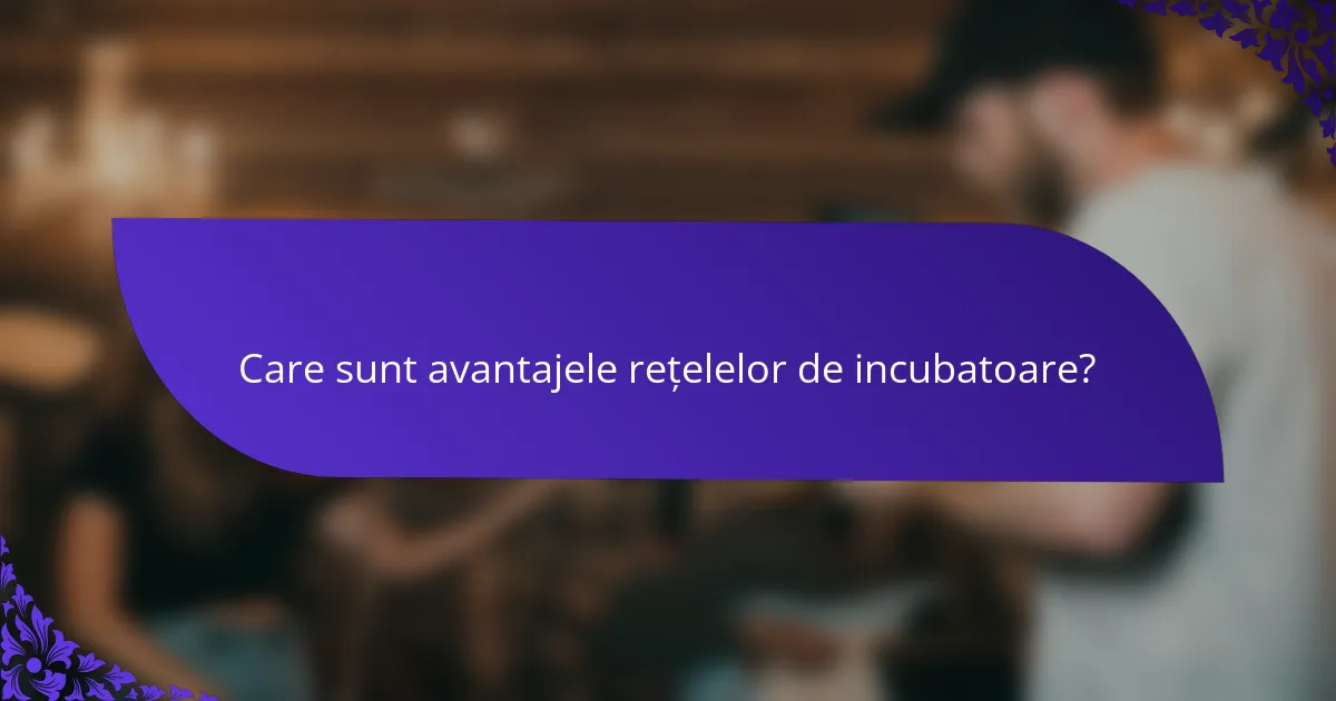 Care sunt avantajele rețelelor de incubatoare?
