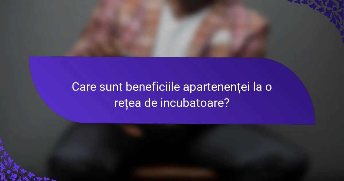 Care sunt beneficiile apartenenței la o rețea de incubatoare?