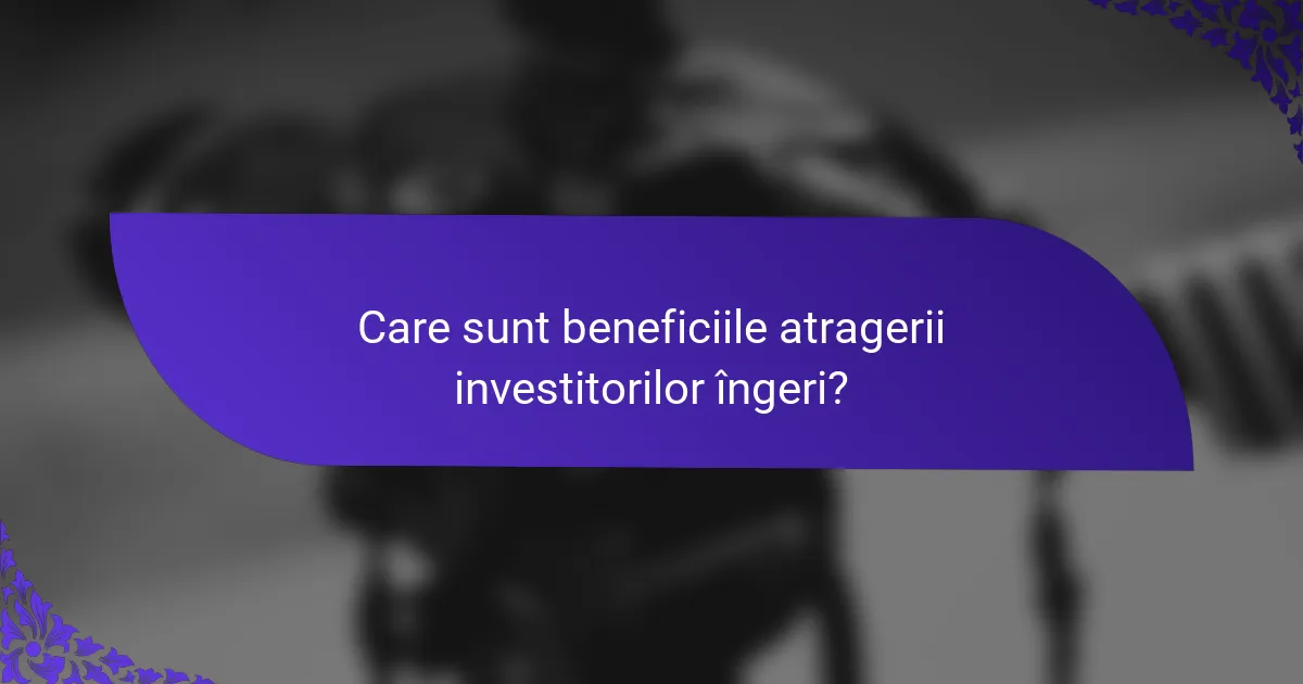 Care sunt beneficiile atragerii investitorilor îngeri?