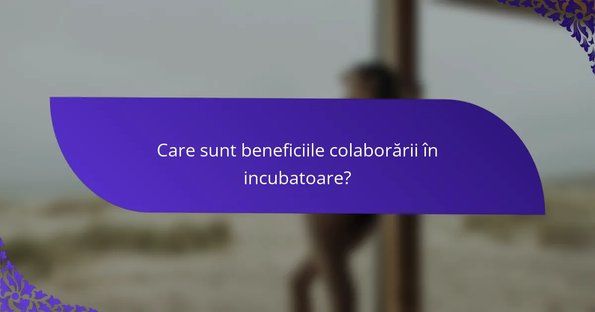 Care sunt beneficiile colaborării în incubatoare?