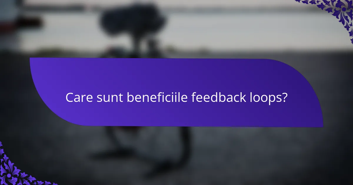 Care sunt beneficiile feedback loops?