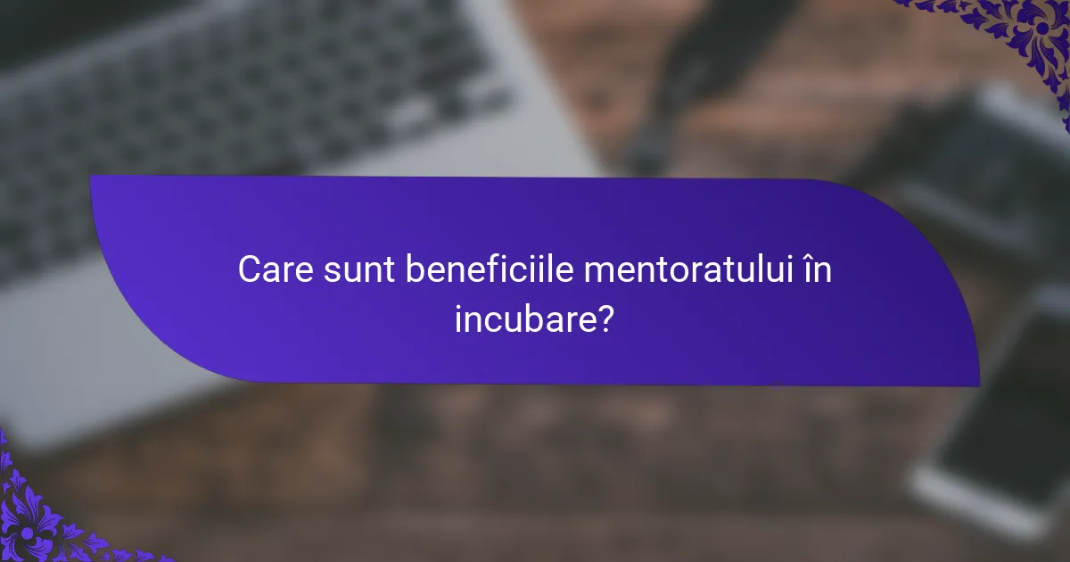 Care sunt beneficiile mentoratului în incubare?
