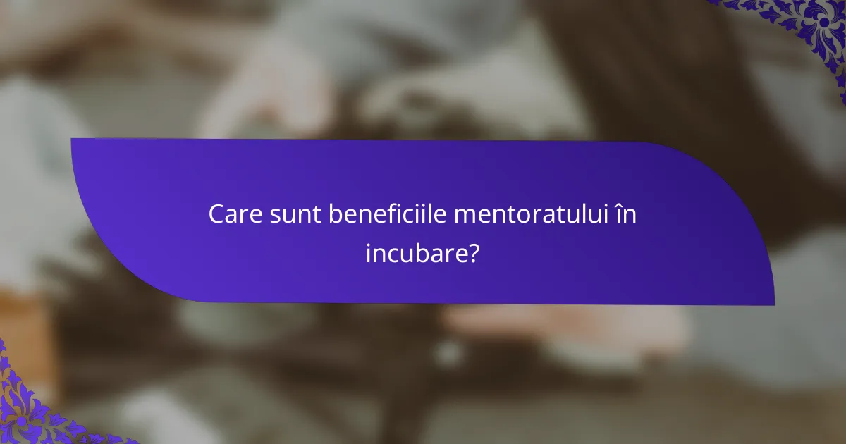 Care sunt beneficiile mentoratului în incubare?