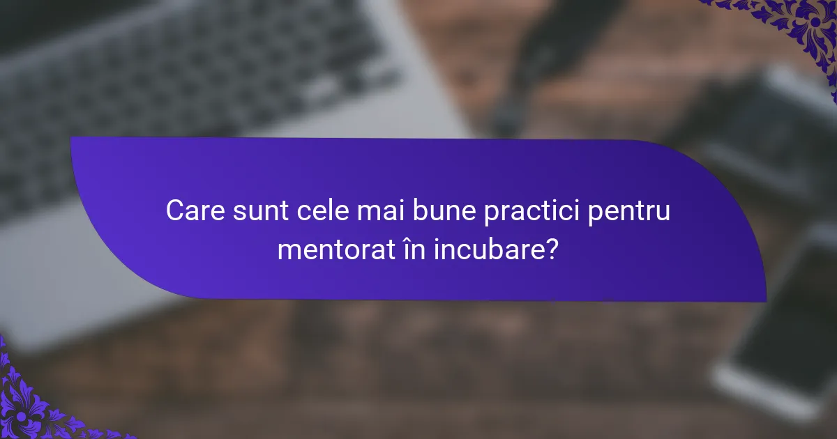 Care sunt cele mai bune practici pentru mentorat în incubare?