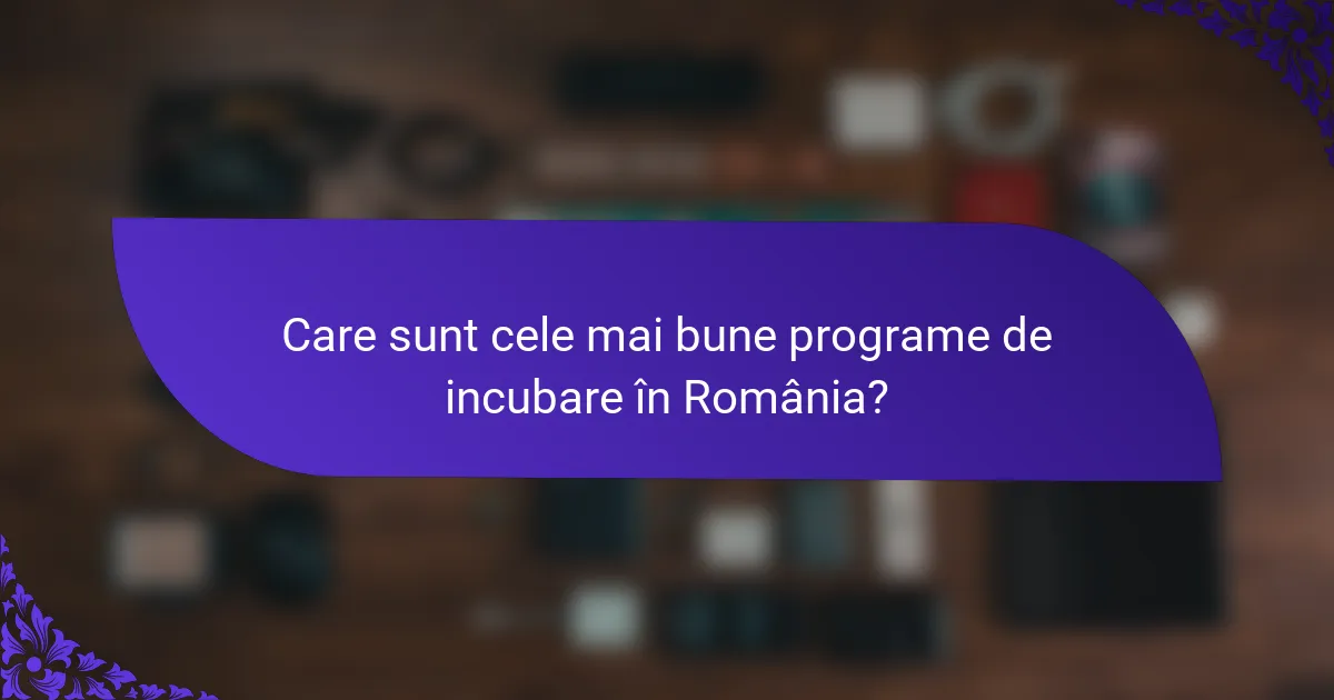 Care sunt cele mai bune programe de incubare în România?