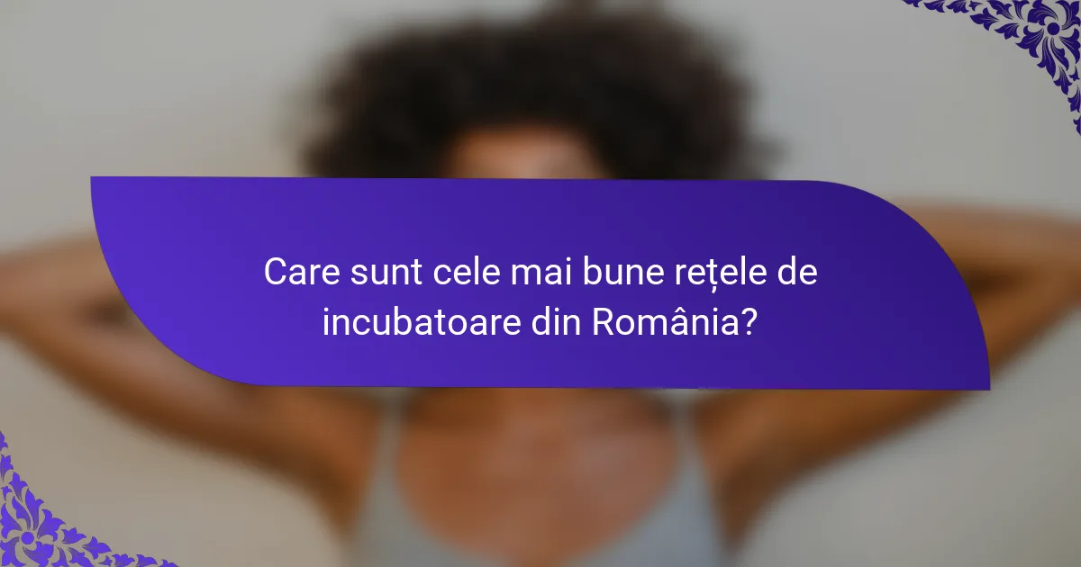 Care sunt cele mai bune rețele de incubatoare din România?