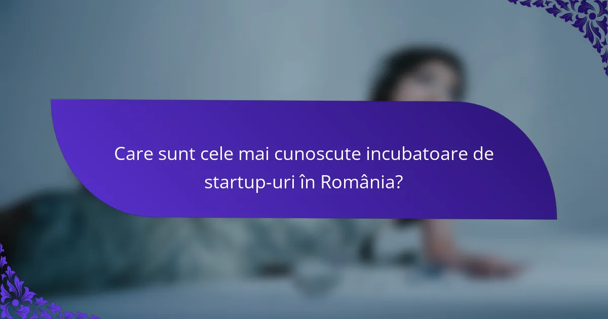 Care sunt cele mai cunoscute incubatoare de startup-uri în România?
