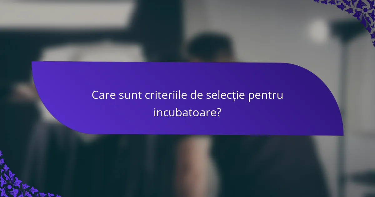 Care sunt criteriile de selecție pentru incubatoare?