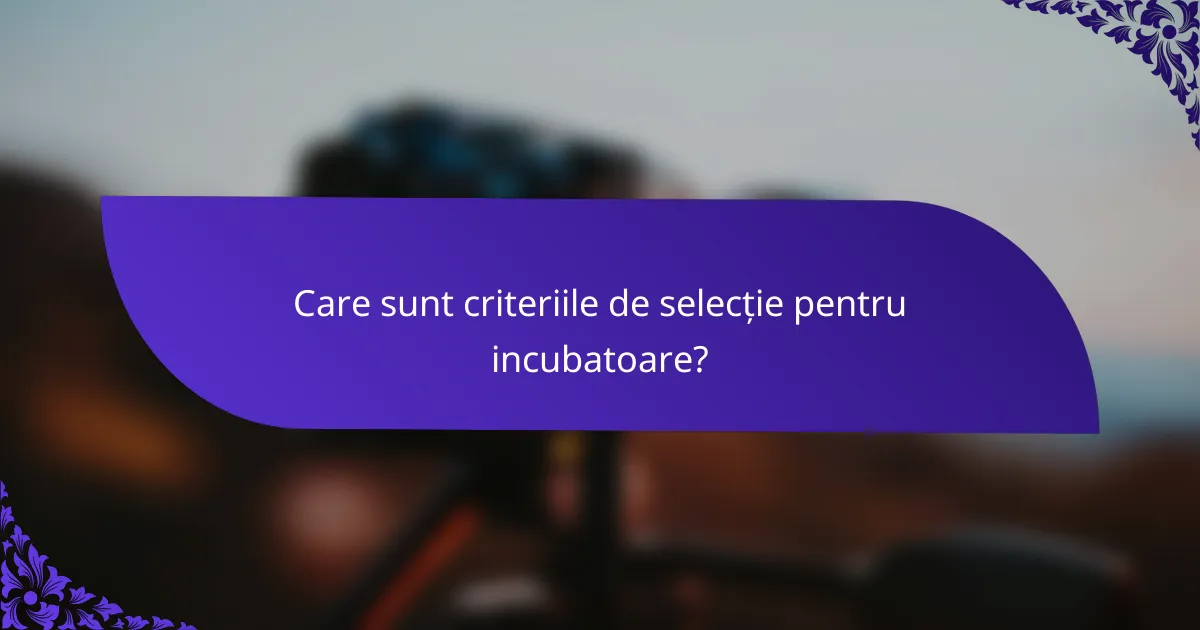 Care sunt criteriile de selecție pentru incubatoare?