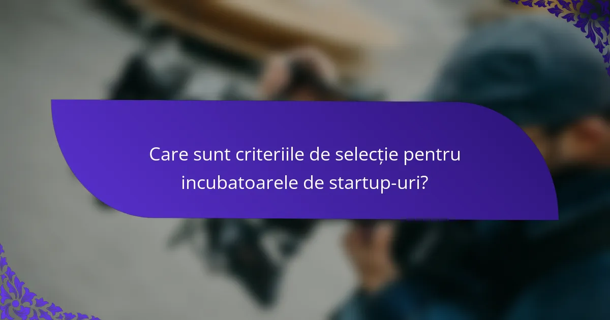 Care sunt criteriile de selecție pentru incubatoarele de startup-uri?