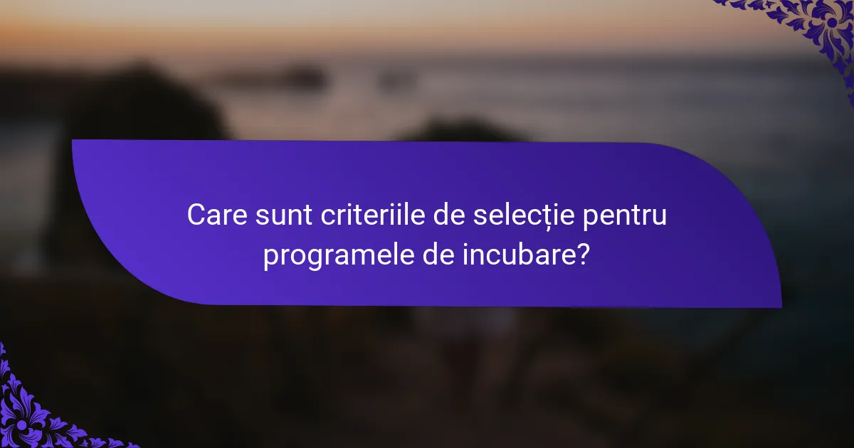 Care sunt criteriile de selecție pentru programele de incubare?