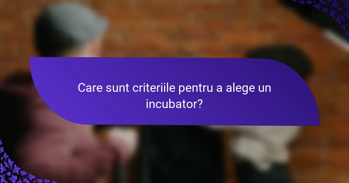 Care sunt criteriile pentru a alege un incubator?