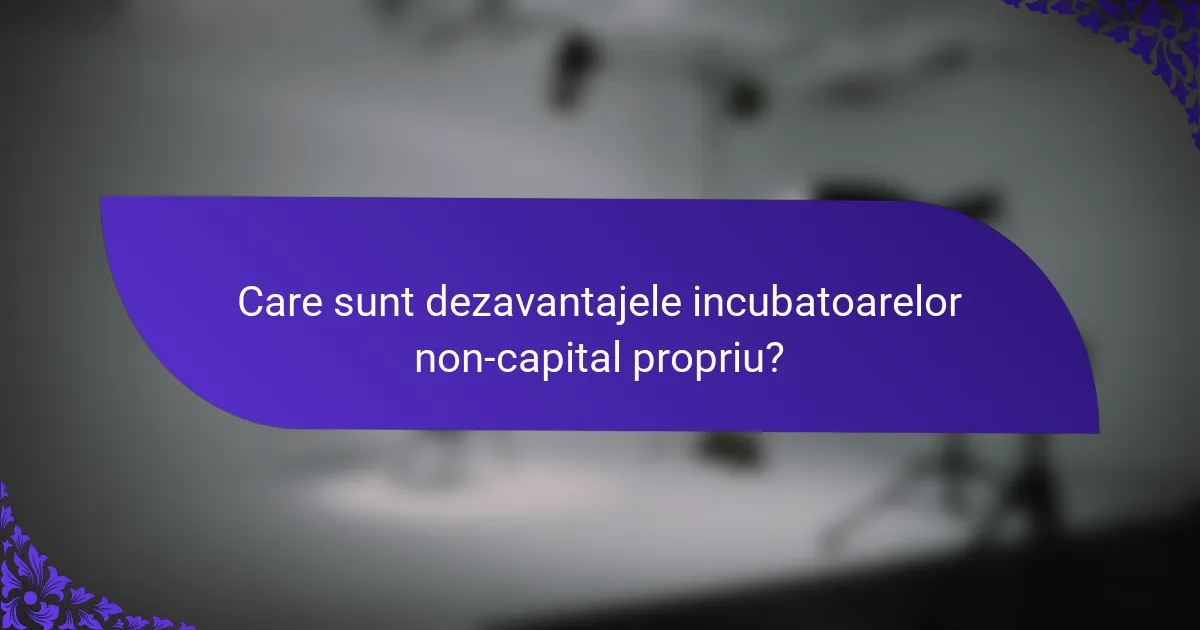Care sunt dezavantajele incubatoarelor non-capital propriu?