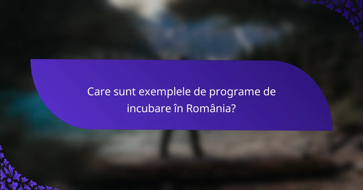 Care sunt exemplele de programe de incubare în România?