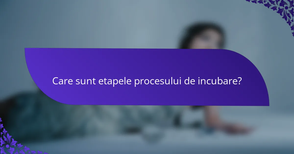 Care sunt etapele procesului de incubare?