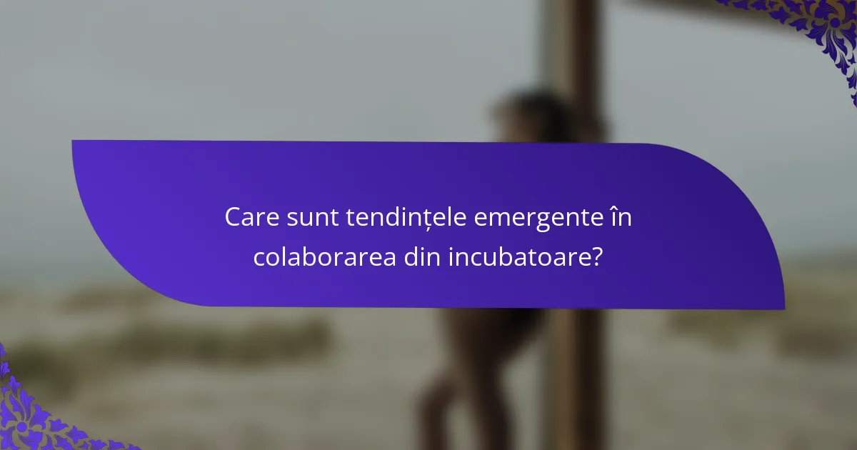 Care sunt tendințele emergente în colaborarea din incubatoare?