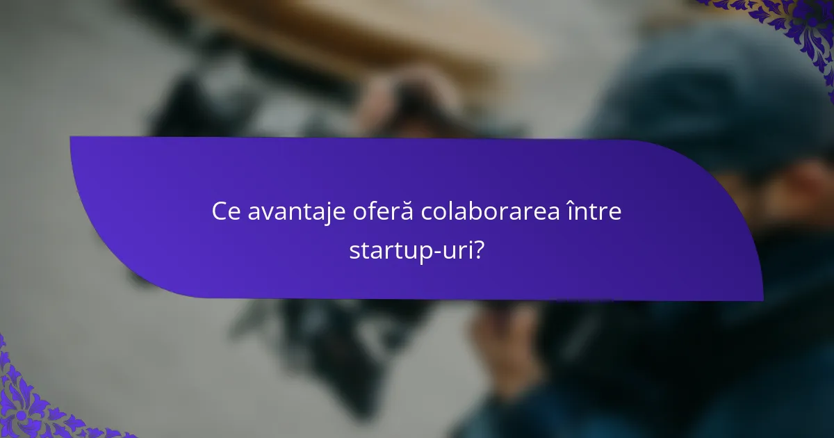 Ce avantaje oferă colaborarea între startup-uri?