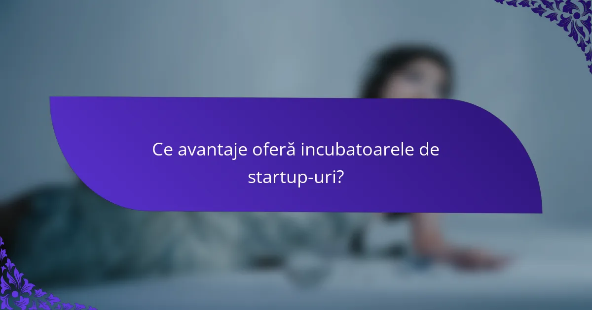 Ce avantaje oferă incubatoarele de startup-uri?
