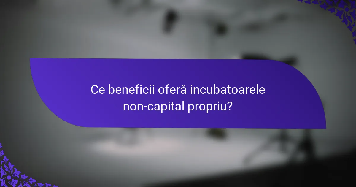 Ce beneficii oferă incubatoarele non-capital propriu?