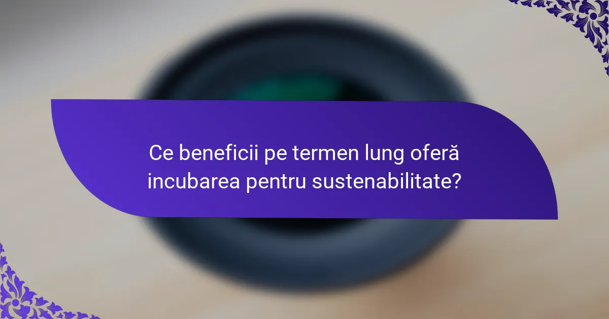 Ce beneficii pe termen lung oferă incubarea pentru sustenabilitate?