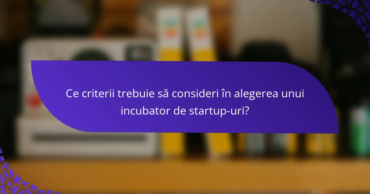Ce criterii trebuie să consideri în alegerea unui incubator de startup-uri?