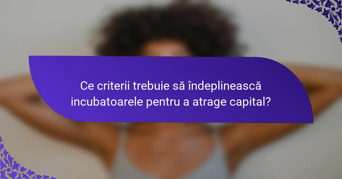 Ce criterii trebuie să îndeplinească incubatoarele pentru a atrage capital?
