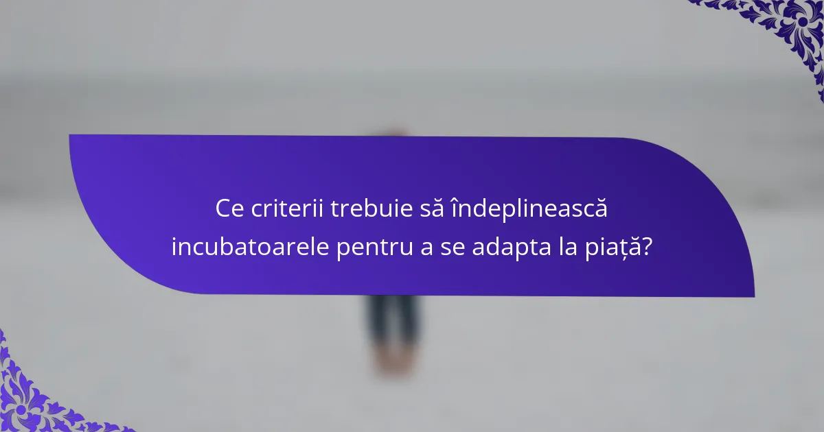 Ce criterii trebuie să îndeplinească incubatoarele pentru a se adapta la piață?