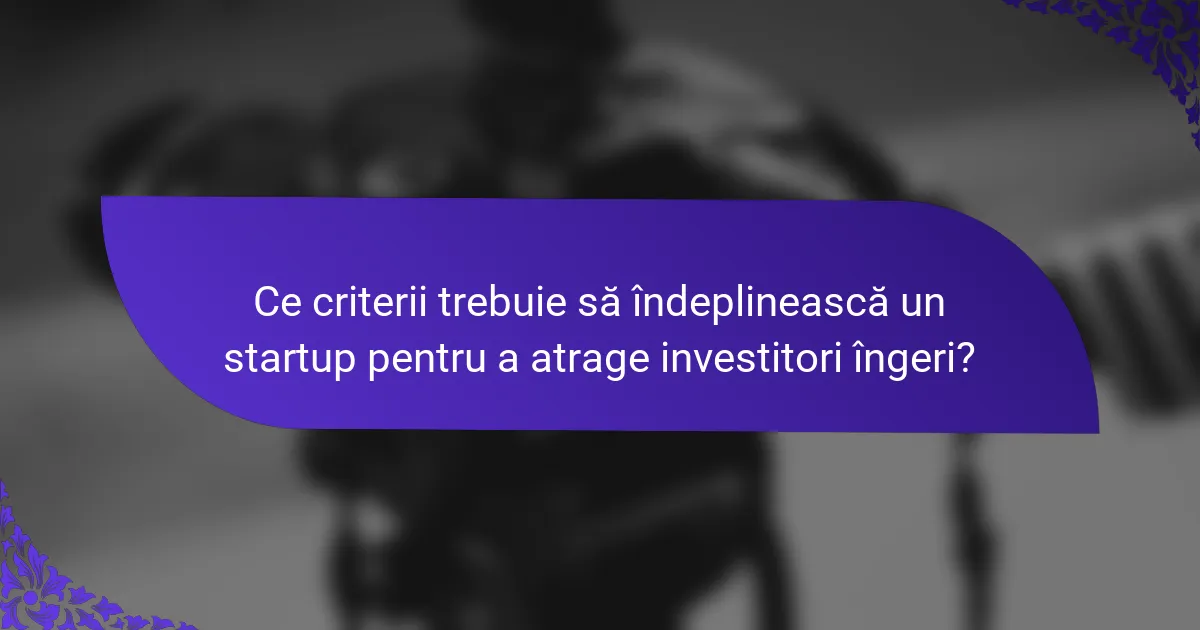 Ce criterii trebuie să îndeplinească un startup pentru a atrage investitori îngeri?