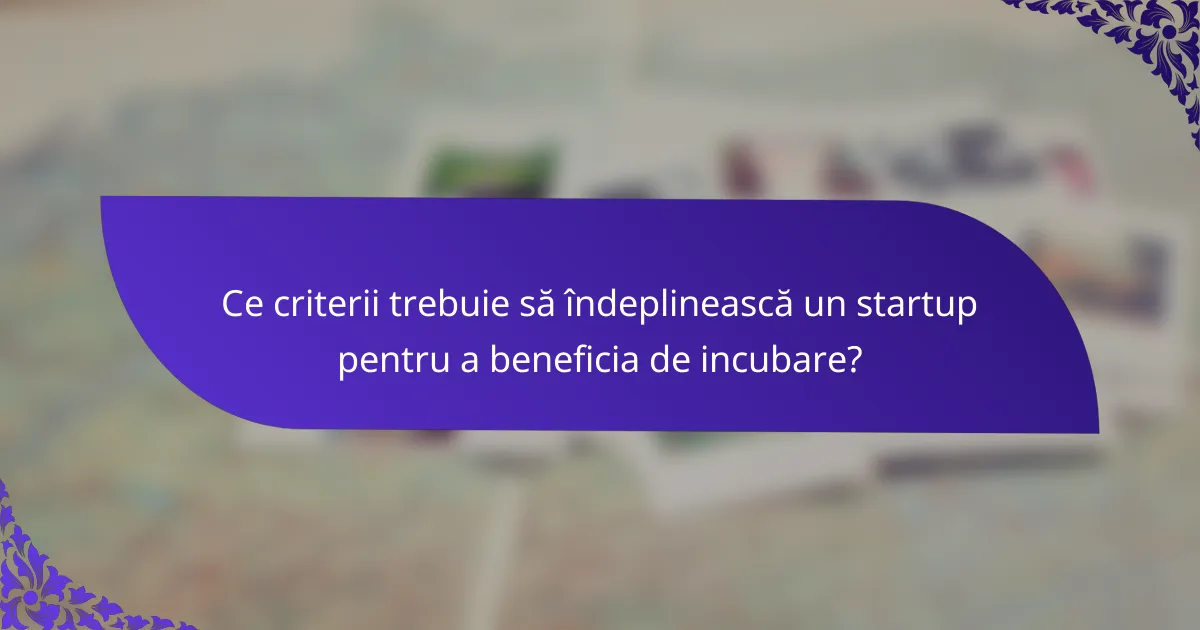 Ce criterii trebuie să îndeplinească un startup pentru a beneficia de incubare?