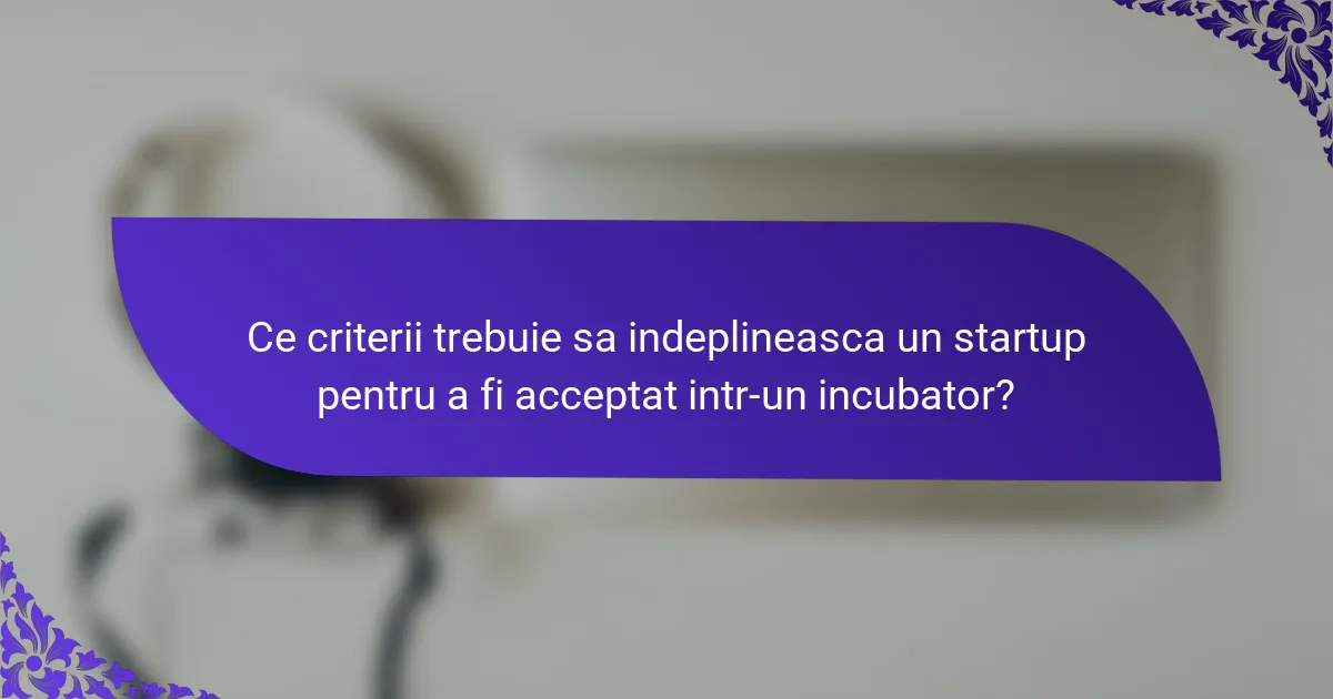 Ce criterii trebuie sa indeplineasca un startup pentru a fi acceptat intr-un incubator?