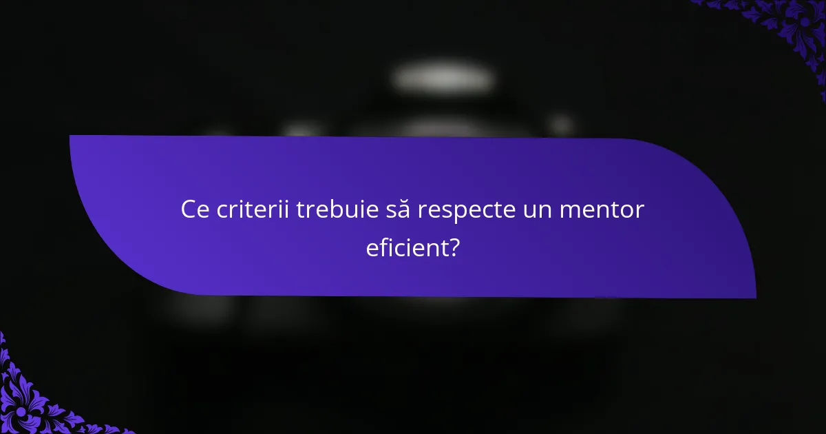 Ce criterii trebuie să respecte un mentor eficient?