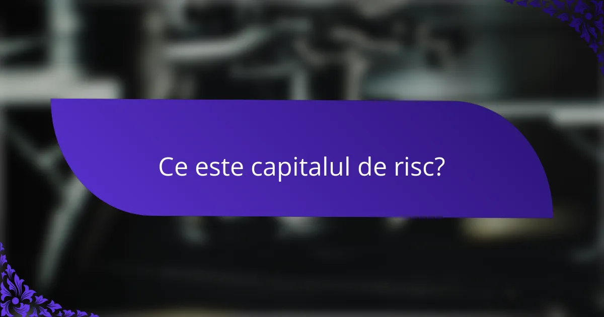 Ce este capitalul de risc?