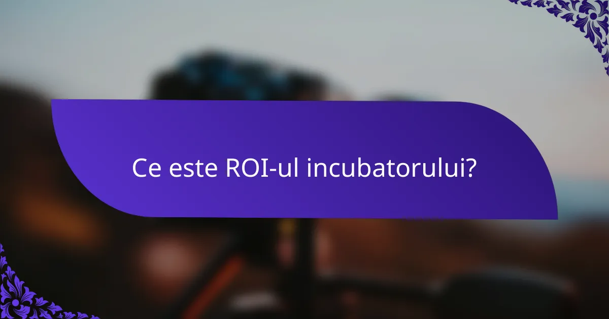 Ce este ROI-ul incubatorului?
