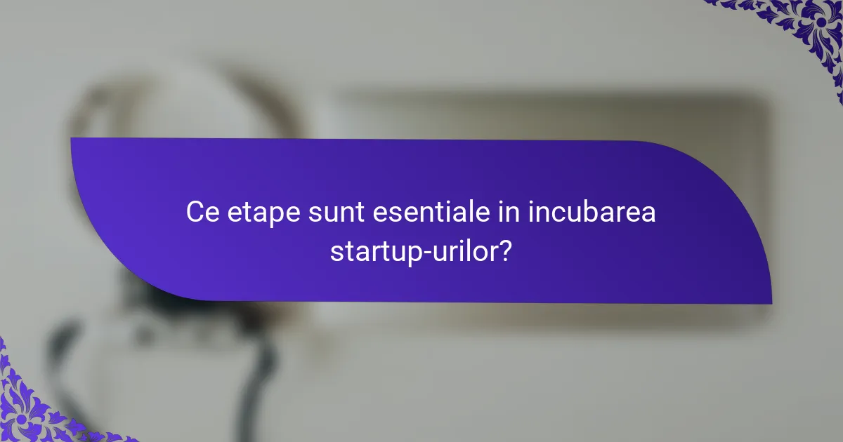 Ce etape sunt esentiale in incubarea startup-urilor?