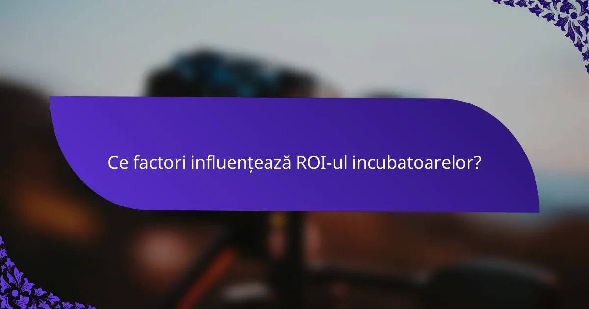 Ce factori influențează ROI-ul incubatoarelor?