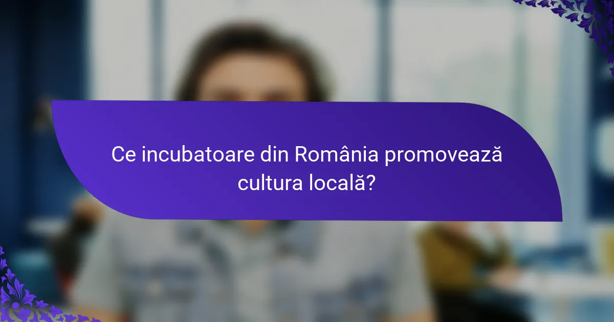 Ce incubatoare din România promovează cultura locală?