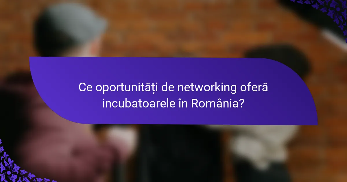 Ce oportunități de networking oferă incubatoarele în România?