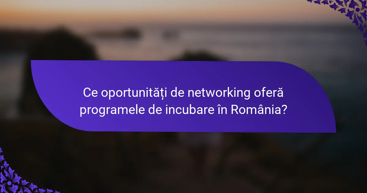 Ce oportunități de networking oferă programele de incubare în România?