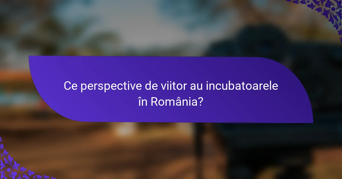 Ce perspective de viitor au incubatoarele în România?