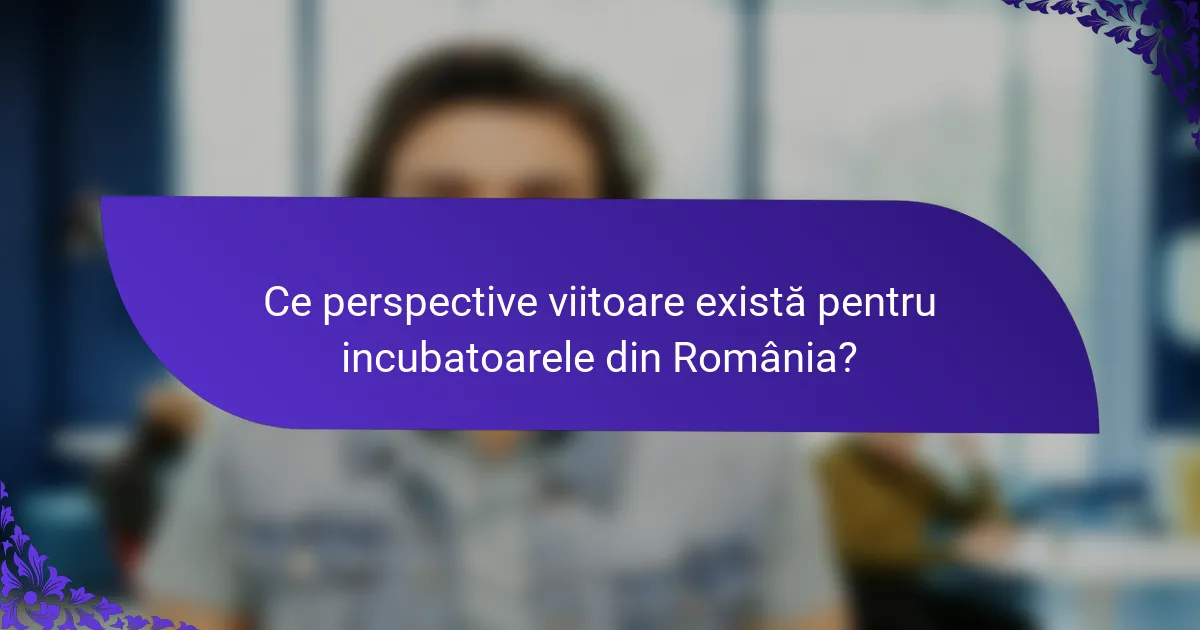 Ce perspective viitoare există pentru incubatoarele din România?