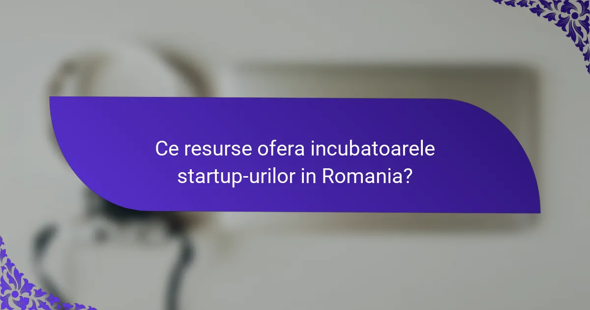 Ce resurse ofera incubatoarele startup-urilor in Romania?