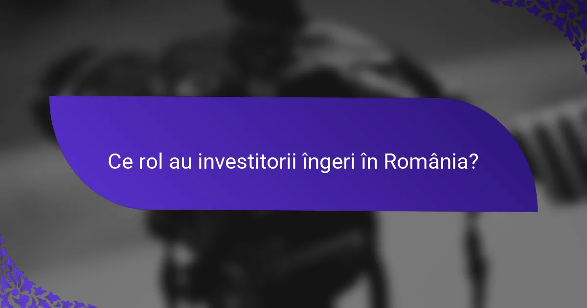 Ce rol au investitorii îngeri în România?