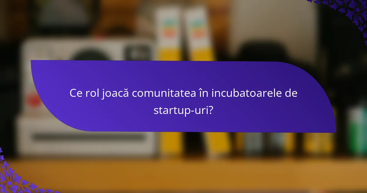 Ce rol joacă comunitatea în incubatoarele de startup-uri?