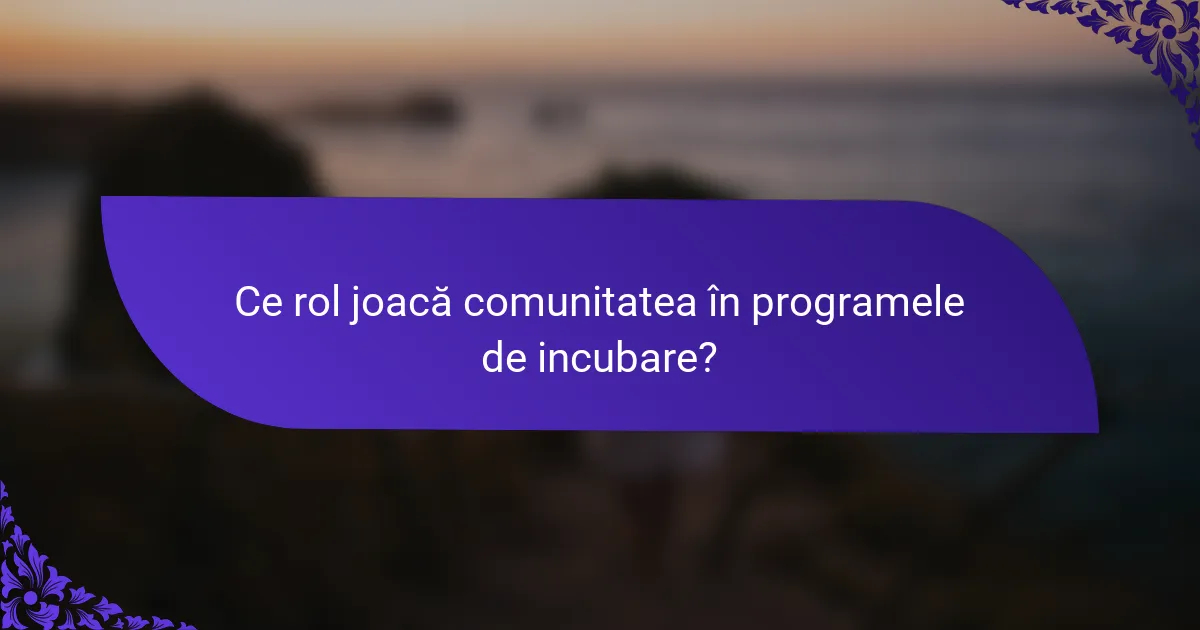 Ce rol joacă comunitatea în programele de incubare?