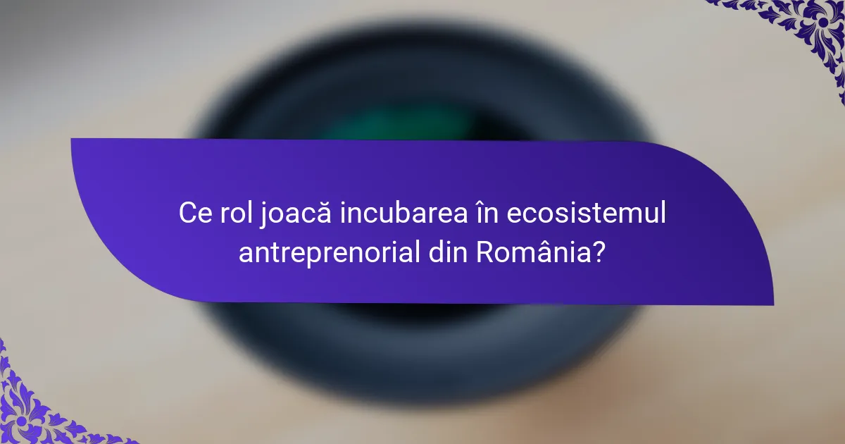 Ce rol joacă incubarea în ecosistemul antreprenorial din România?