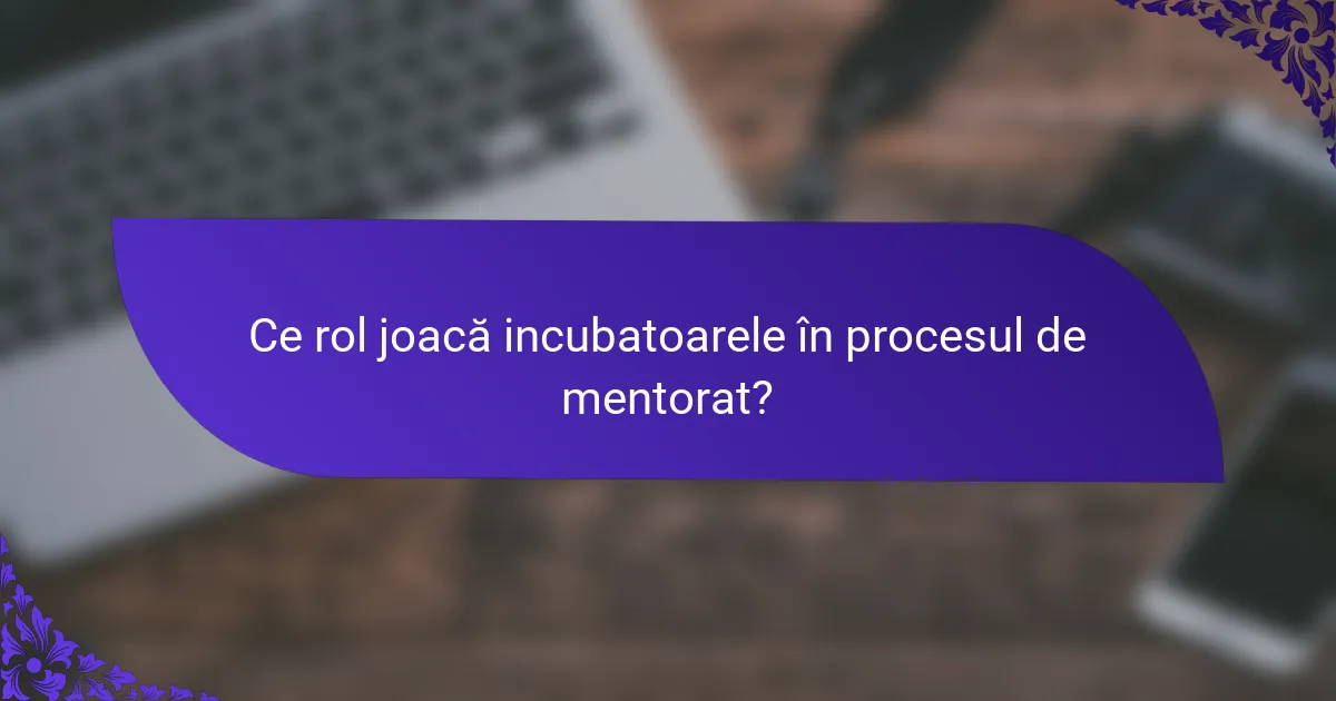 Ce rol joacă incubatoarele în procesul de mentorat?