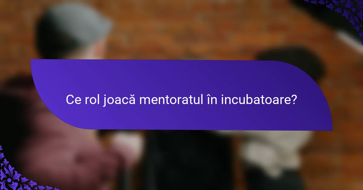 Ce rol joacă mentoratul în incubatoare?