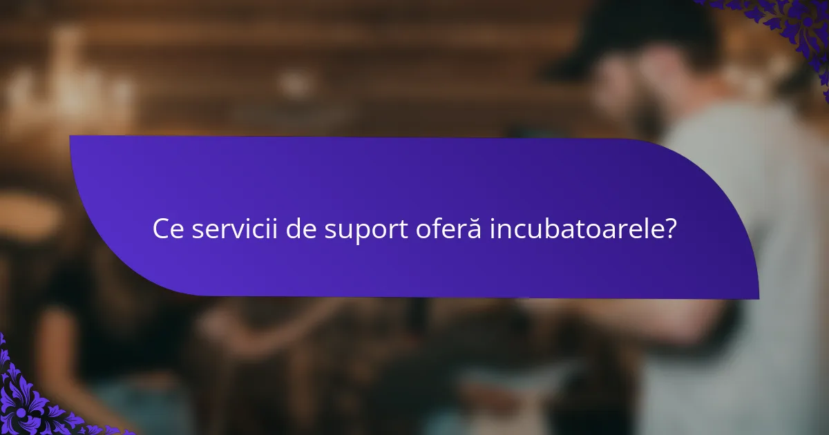 Ce servicii de suport oferă incubatoarele?