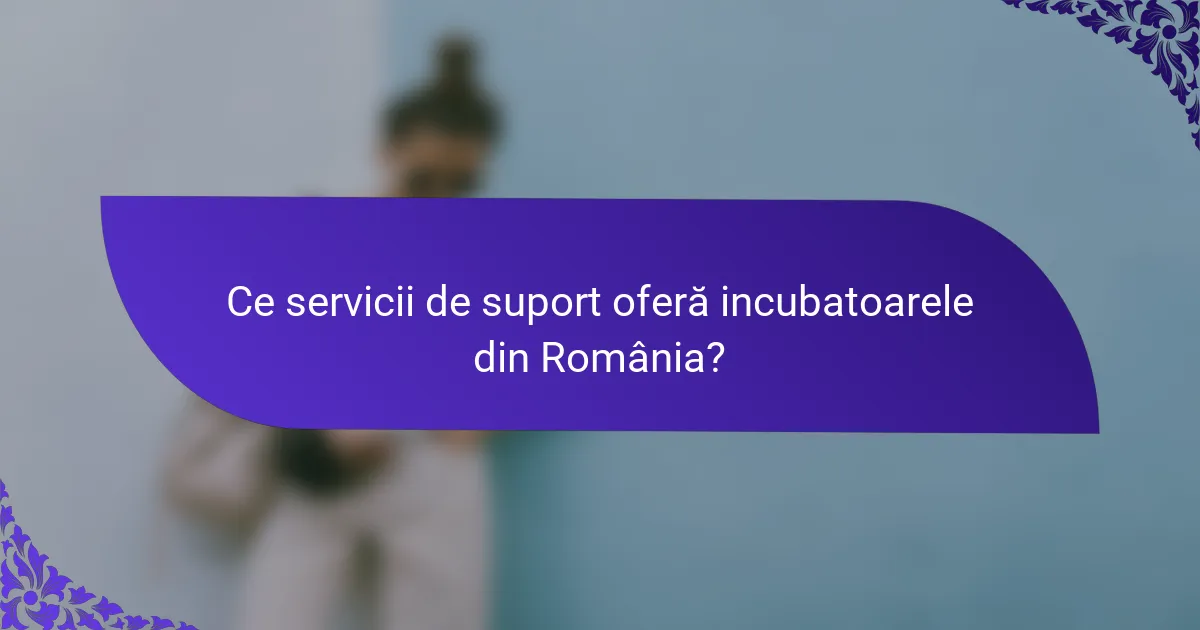 Ce servicii de suport oferă incubatoarele din România?